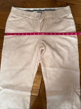 Express Editor Lightweight Textured Pants
